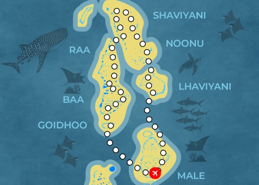 Great North Expedition