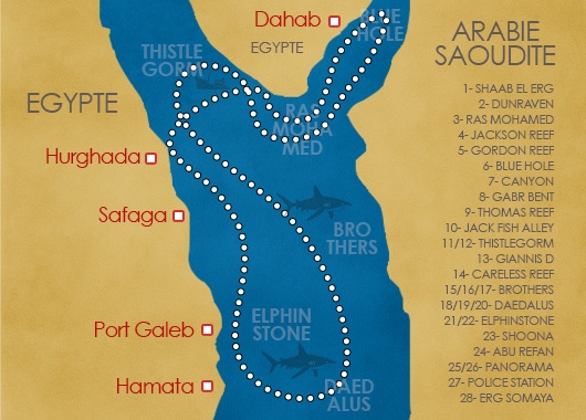 Premium Expedition 10N