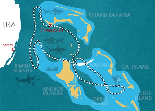 Ultimate Bahama Dive Safari 14N