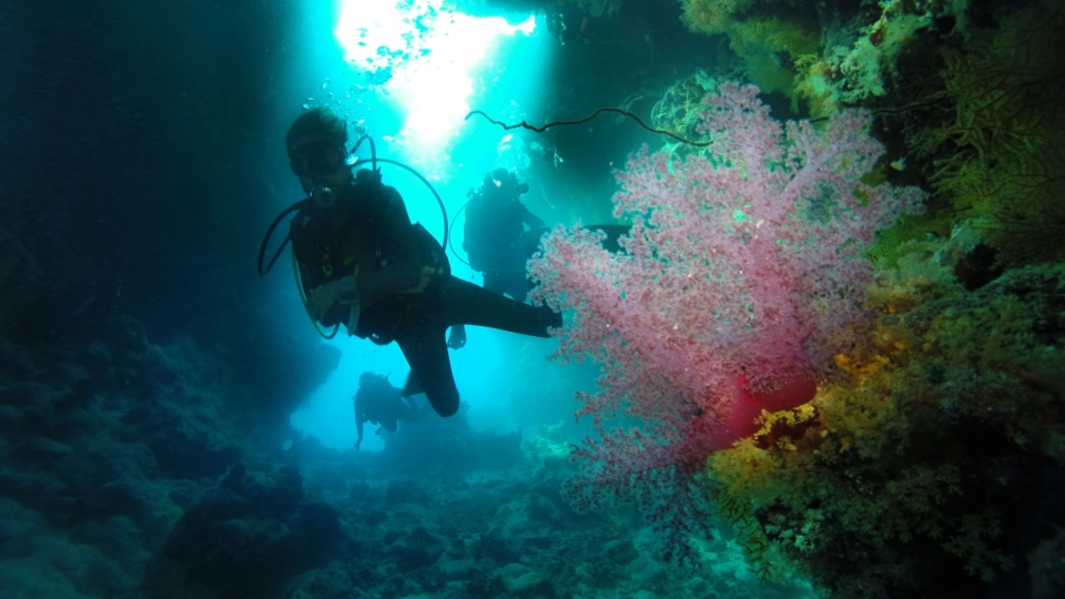 Zabargad /Rocky/St John's Reef